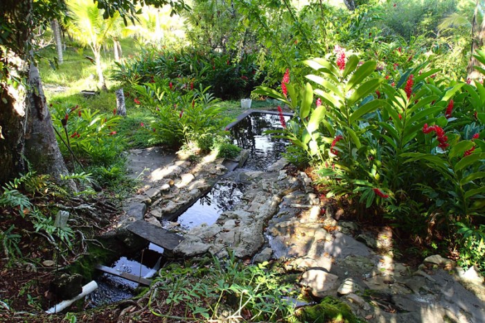 La source,