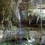 15 min de marche pour rejoindre cette jolie cascade d'eau douce