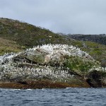 P1174902