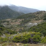 P2035509