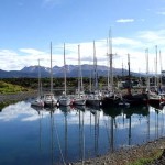 Micalvi, Puerto Williams