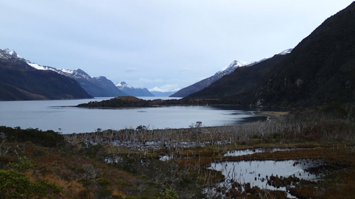 Bras NW du canal Beagle, à G l'île Gordon, à D la caleta Olla avec...