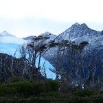... dans le lointain, le ventisquero Holanda (île Tierra del Fuego)