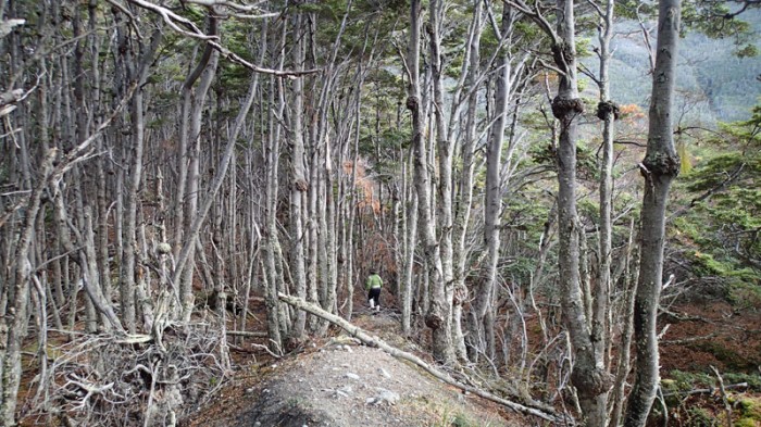 Une piste à retracer...