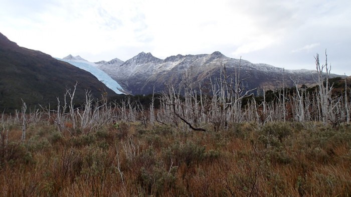 Adieu magnifique Holanda