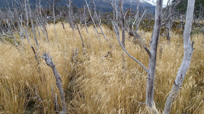 Sur le chemin du retour...