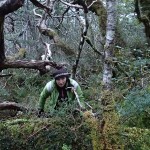 ... rencontre avec le Trauco, créature mythique de la forêt chilote ;-)