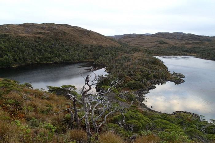 Visite à pied de la caleta Caranca (à droite)...