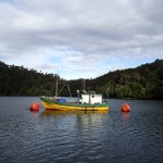 Caleta Punta Lynch, bateau de pêche entre 2 bouées