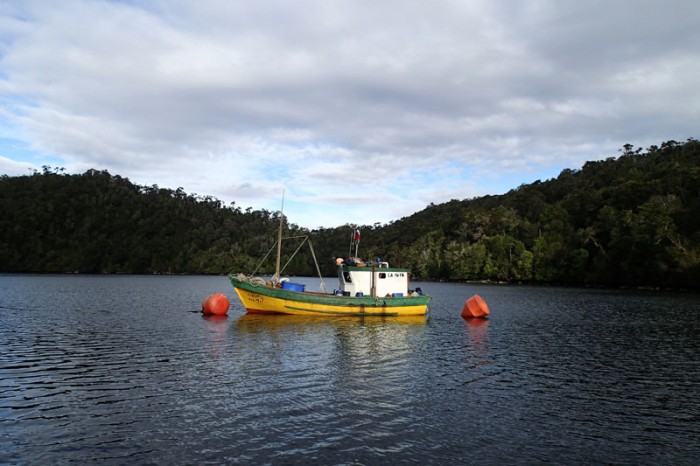Caleta Punta Lynch, bateau de pêche entre 2 bouées