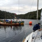 Caleta Punta Lynch, L’Envol sur la bouée des pêcheurs