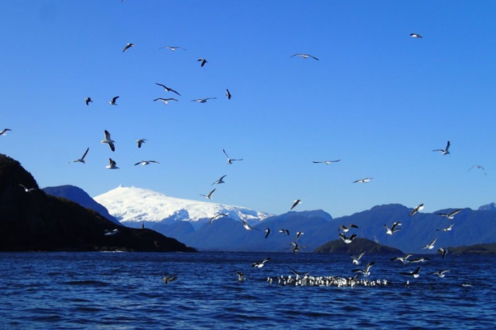 Punta Guala et mont Melimoyu