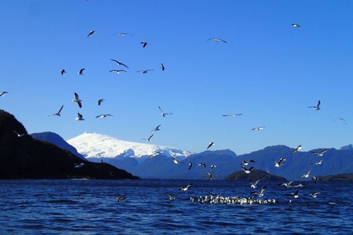 Punta Guala et mont Melimoyu