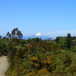 Le volcan Corcovado (2300m) vu depuis l'estero Pellu (Chiloé)