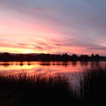 Dernier jour à Valdivia