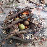 Fruits de l’arbre à pains au feu de bois