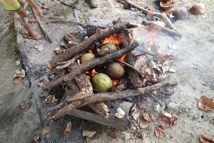 Fruits de l’arbre à pains au feu de bois