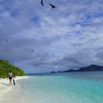 Kouaku, l’île aux oiseaux