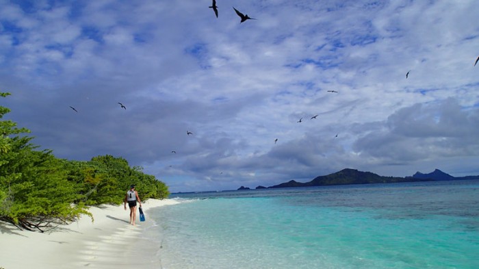 Kouaku, l’île aux oiseaux