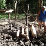 La ferme de Bruno