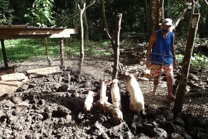 La ferme de Bruno