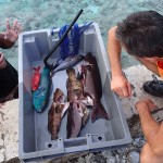 Le pêcheur Moeava, merci pour les poissons !