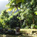 Tikis perdus dans la jungle à 30 min de Hane