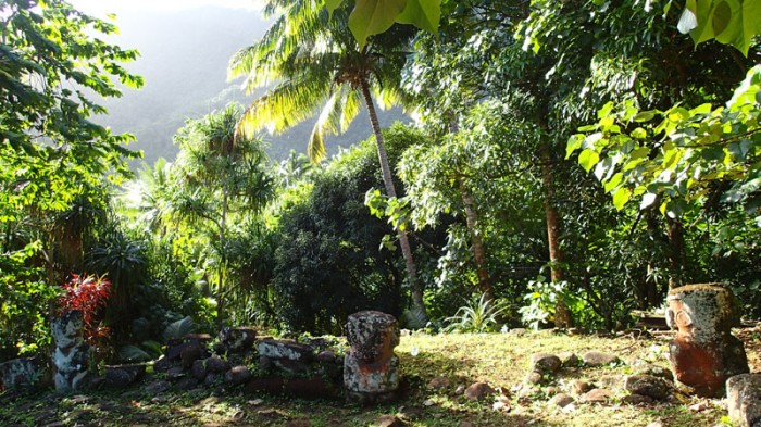 Tikis perdus dans la jungle à 30 min de Hane