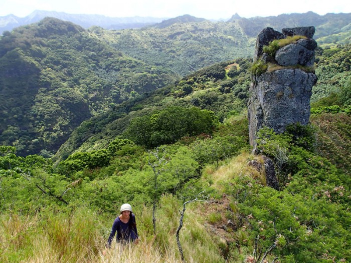 L’aiguille de basalte sur le chemin ancestral qui relie Taiohae et Hakaui