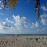 Réunion d’annexes sur le reef NE de Makemo