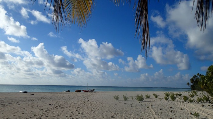 Réunion d’annexes sur le reef NE de Makemo