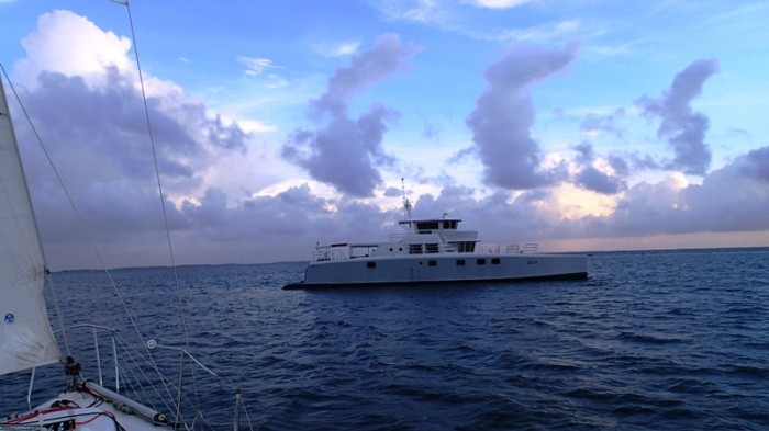 Ieta, un étonnant catamaran de 24 mètres fait maison !