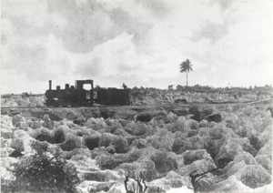 Train de minerai dans son paysage de désolation