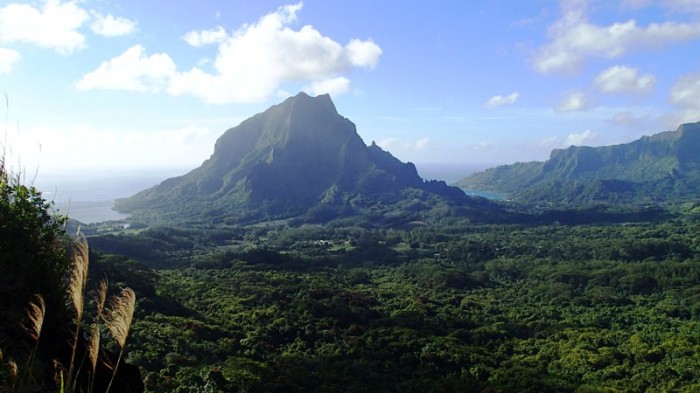 Le mont Rotui (899m) depuis le col des 3 Cocotiers