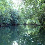 Rivière Faaroa à la rame