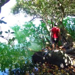 Eaux vertes du lac Lalolalo