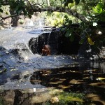 Une douche rafraichissante