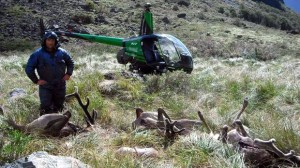 Un goût amer de Far West (NZ Herald)