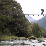 Young River, pont suspendu sur la North Branch