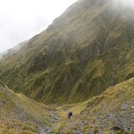 La roide dégringolade vers la confortable Top Kokatahi Hut (1040m)