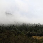 La forêt sèche tandis que nous quittons la Grassy Flat Hut