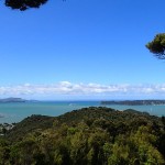 L’entrée de Bay of Islands