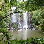 Sur le sentier des courses à Kerikeri city