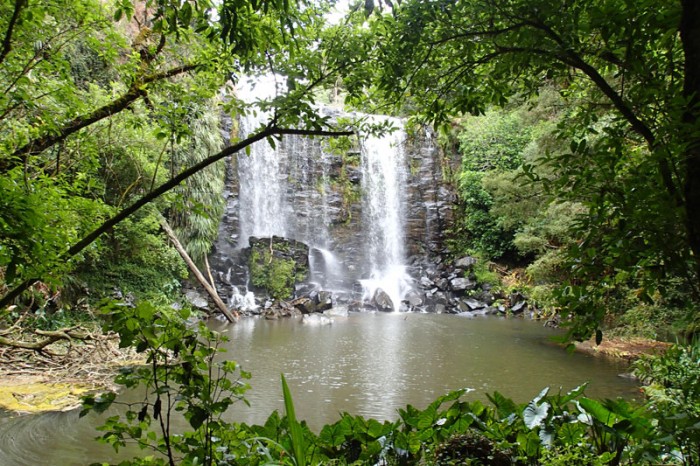 Sur le sentier des courses à Kerikeri city