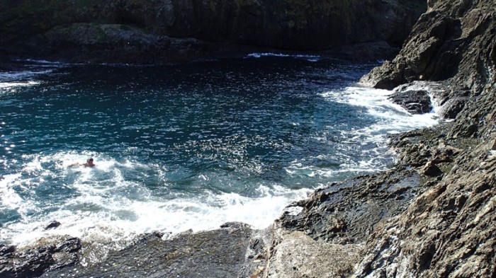 Baignade avec les otaries du cap Brett