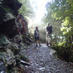 Queen Charlotte Track