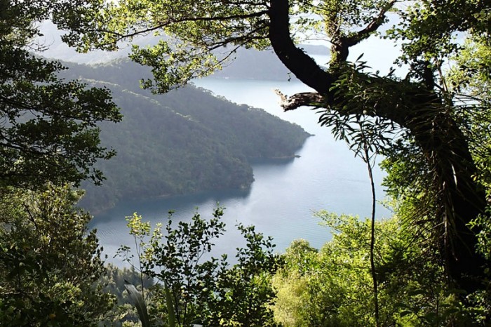 Fenêtre sur cove