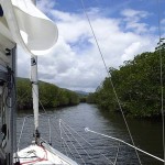 Dans la mangrove, en approche du mouillage…