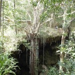 Trou tabou (privé) non loin de la grotte de la Troisième