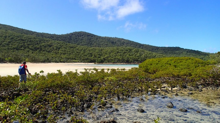 Western Bay à marée basse